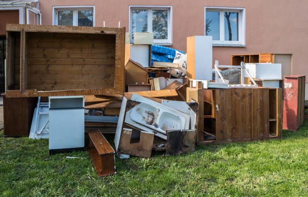 Shed Removal